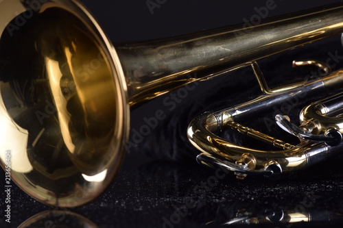 Quadro em tela trompete