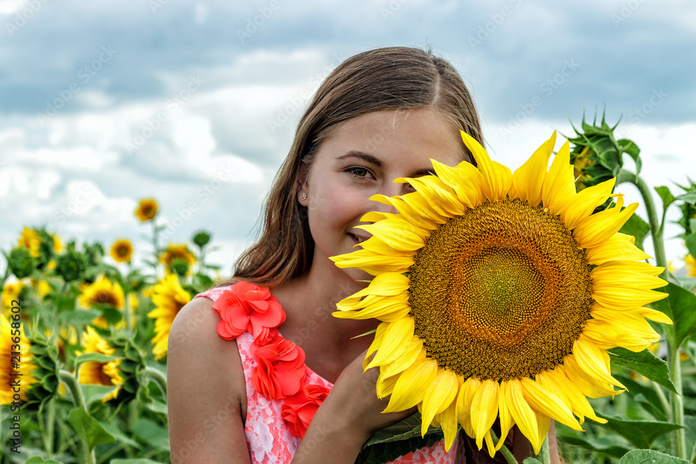 Young girl with a flower of a sunflower close-up. A girl is in the field of blooming sunflowers. Young girl with a flower of a sunflower close-up. A girl is in the field of blooming sunflowers.