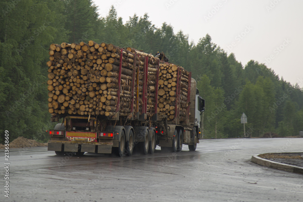 Logging truck on the highway.