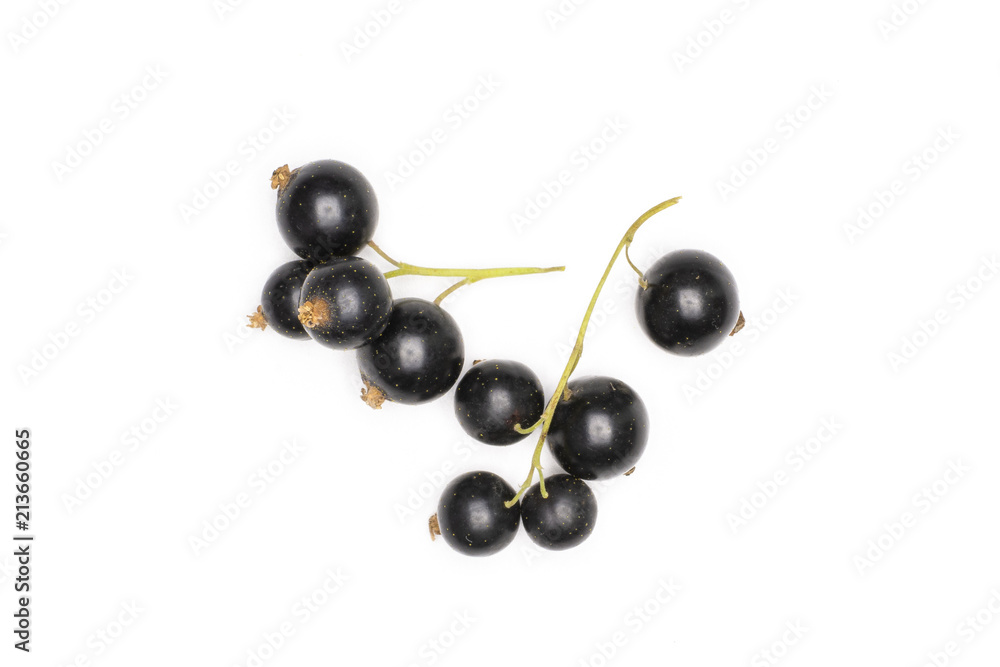 Fresh Raw Black Currant berry isolated on white Fresh Raw Black Currant berry isolated on white