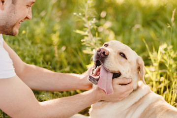 Owner young man with labrador dog outdoors green grass. Concept friendship
