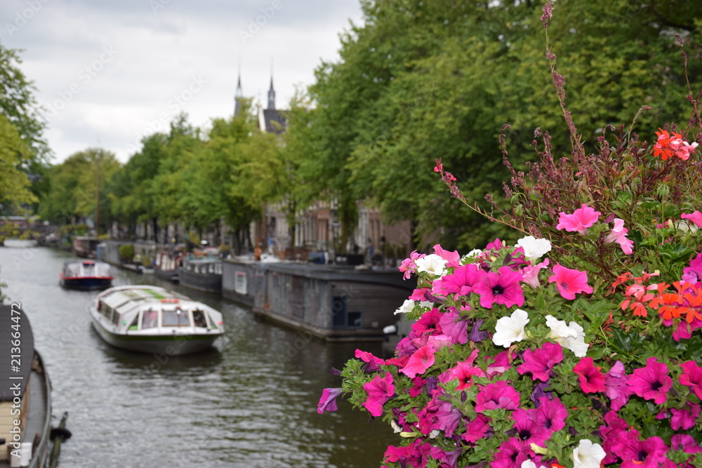 Fototapeta premium Amsterdam, Pays-Bas