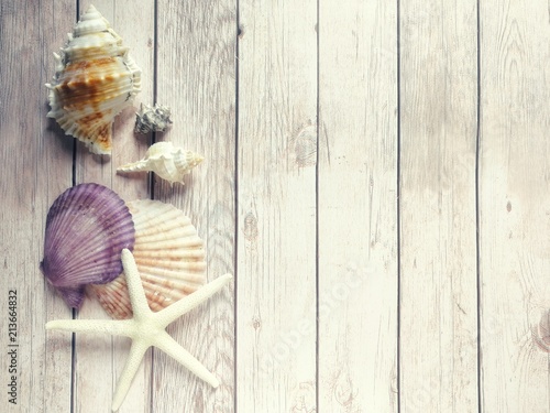 Flat lay of marine vintage composition of exotic seashells, oyster, starfish on brownwood background.for Tropical summer or Birthday,Wedding Day concept.