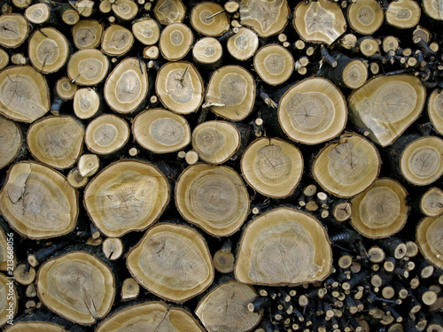 wood