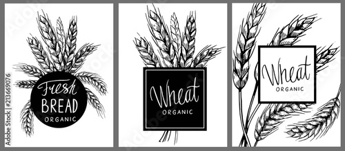 Set of banners with wheat ears. Vector illustration