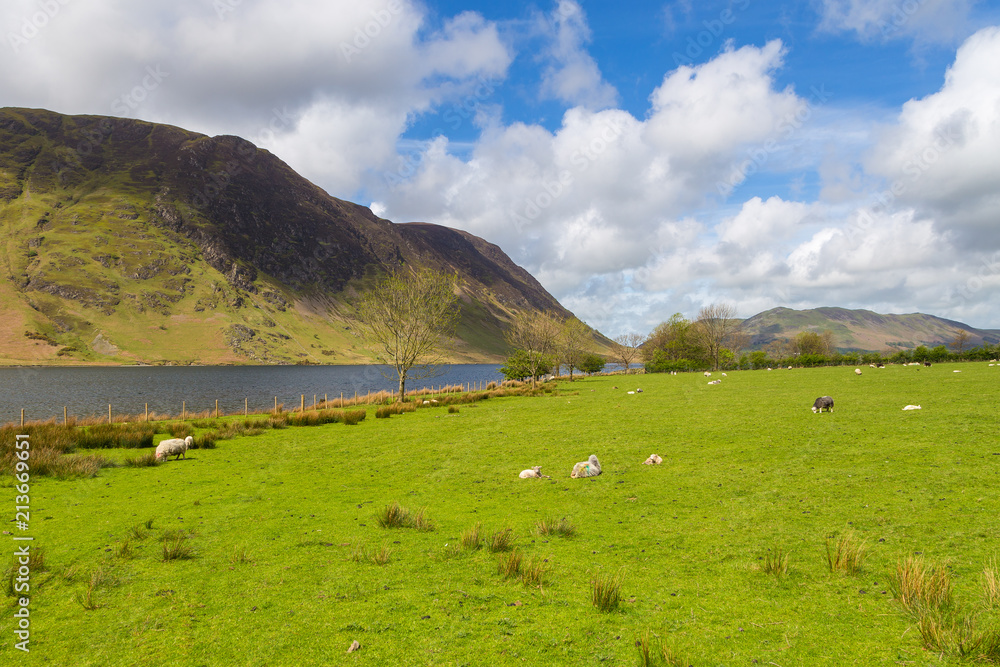 Obraz premium Crummock Water and mountain view, Lake District National, Cumbria