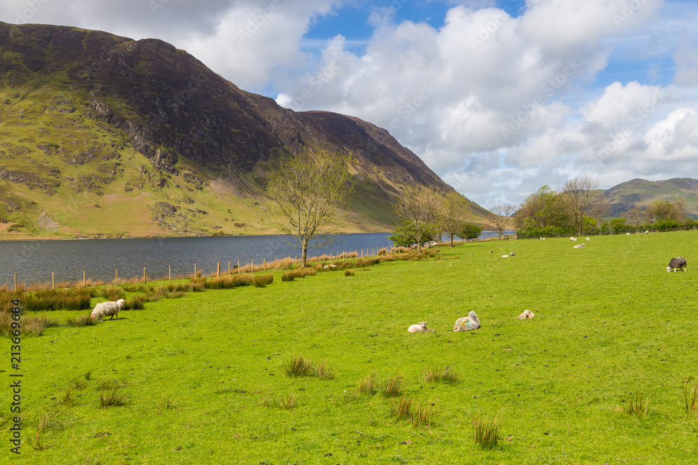 Crummock Water and mountain view, Lake District National, Cumbria