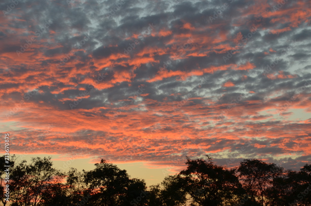 Obraz premium Sunset