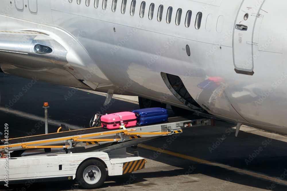 Loading suitcases of tourists in the plane Loading suitcases of tourists in the plane