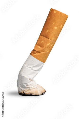 Cigarette butt Isolated