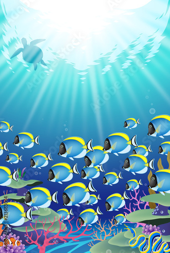 海の中の風景　珊瑚礁　サンゴ礁　魚の群れ