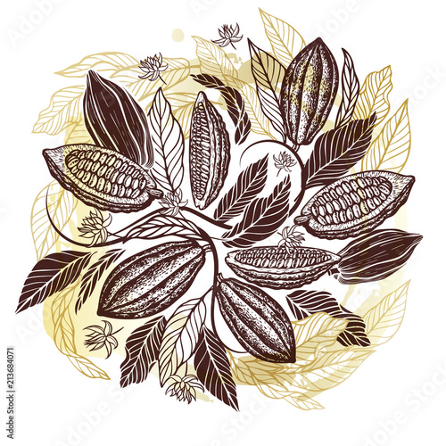 Cacao beans plant, Vector exotic cacao plants