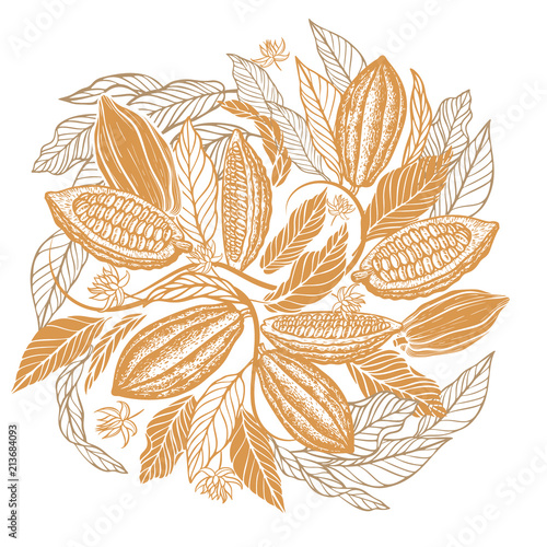 Cacao beans plant, Vector exotic cacao plants