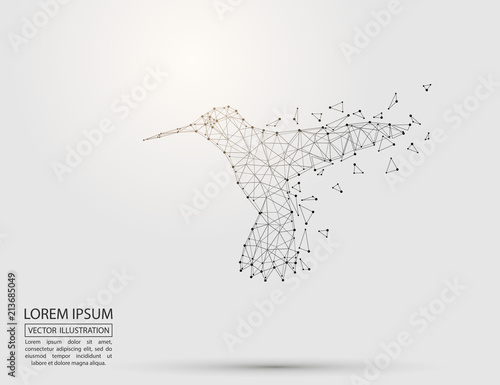 Abstract bird Hummingbird consisting of 3D triangles, lines, points and links. Vector illustration of EPS 10.