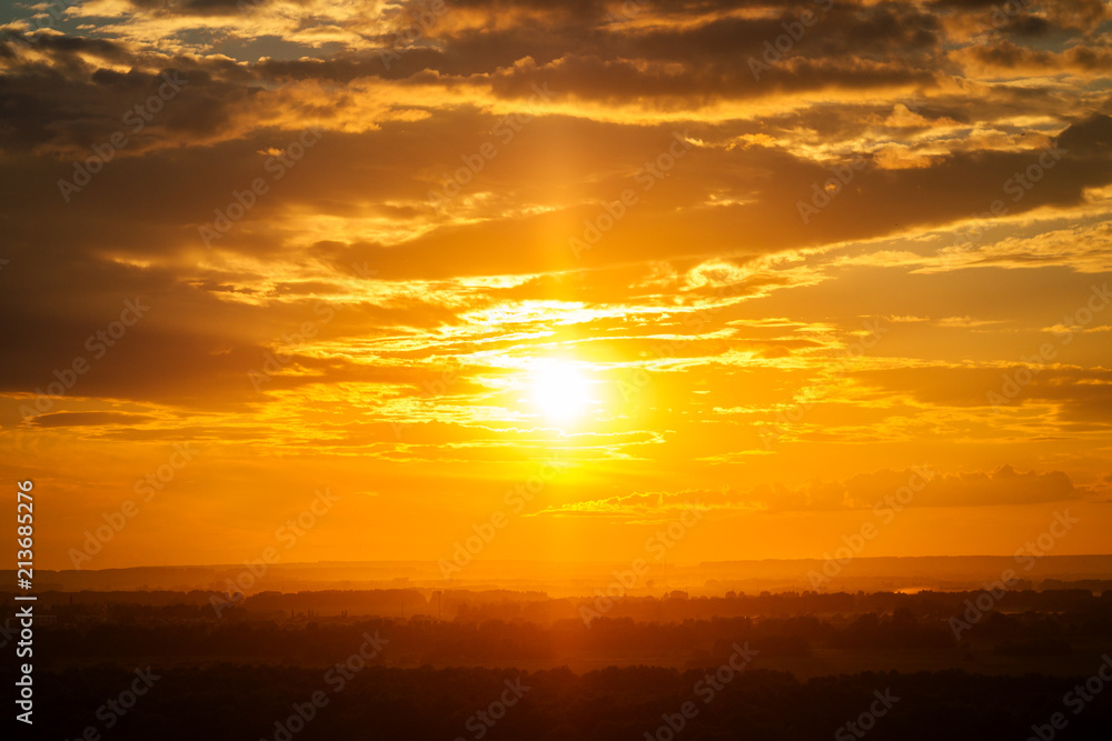 Fototapeta premium beautiful orange sunset in the forest