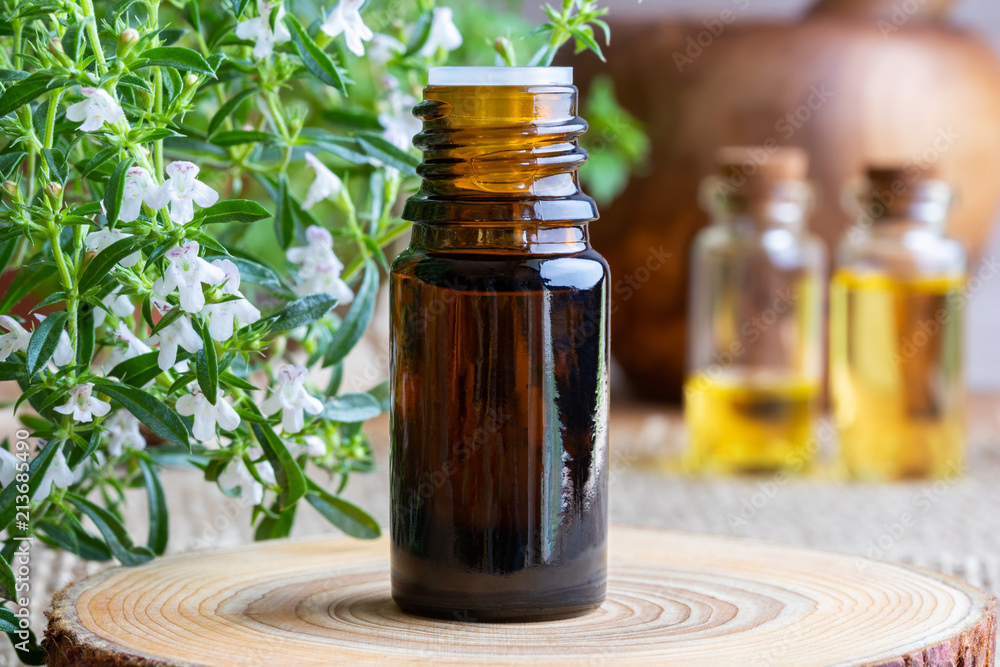 A bottle of mountain savory essential oil with fresh Satureja montana A bottle of mountain savory essential oil with fresh Satureja montana