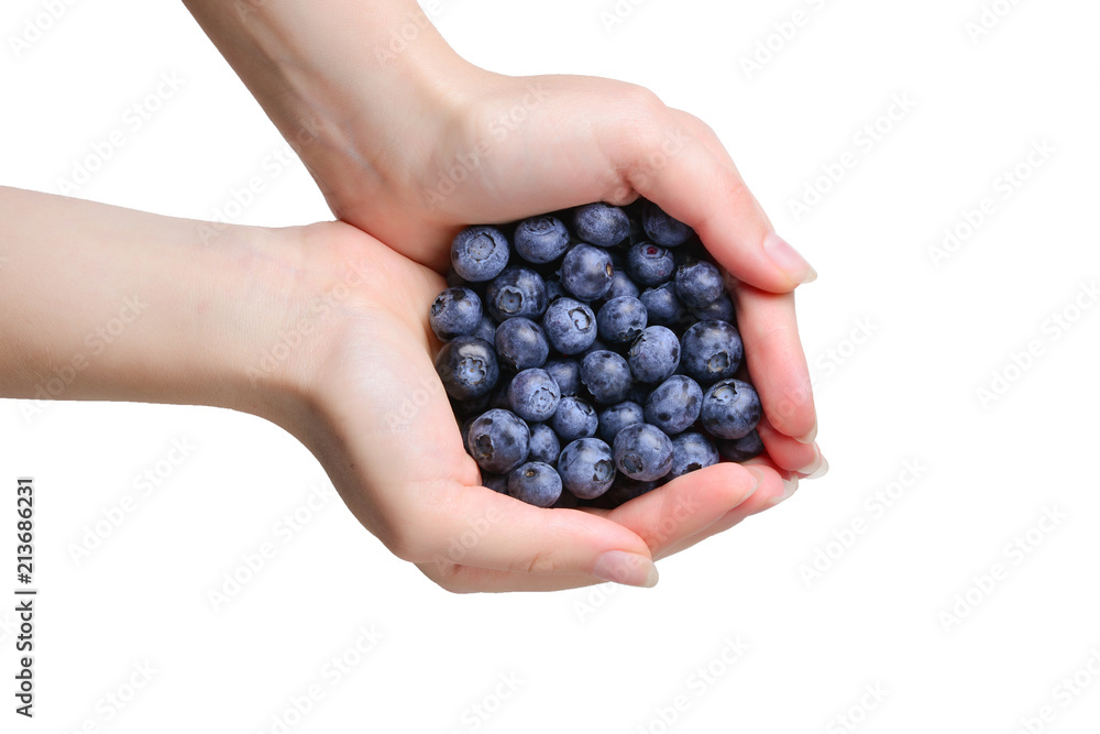 Bluepberry kept in hands isolated on white background. Bluepberry kept in hands isolated on white background.