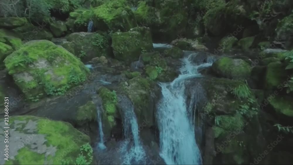 Forrest under Skaklya Waterfall near the village of Bov and Vazov's footpath.Amazing nature in Bulgaria Forrest under Skaklya Waterfall near the village of Bov and Vazov's footpath.Amazing nature in Bulgaria