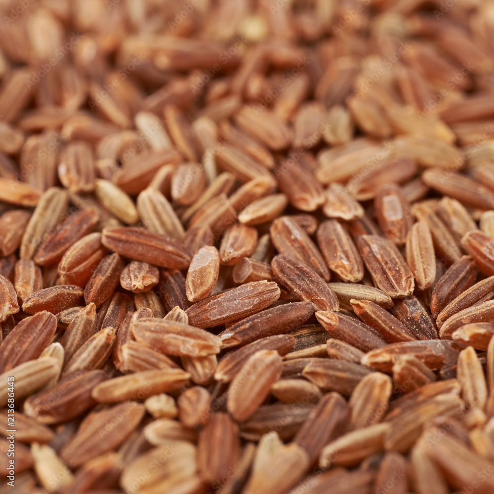 Surface coated with the brown rice grains Surface coated with the brown rice grains