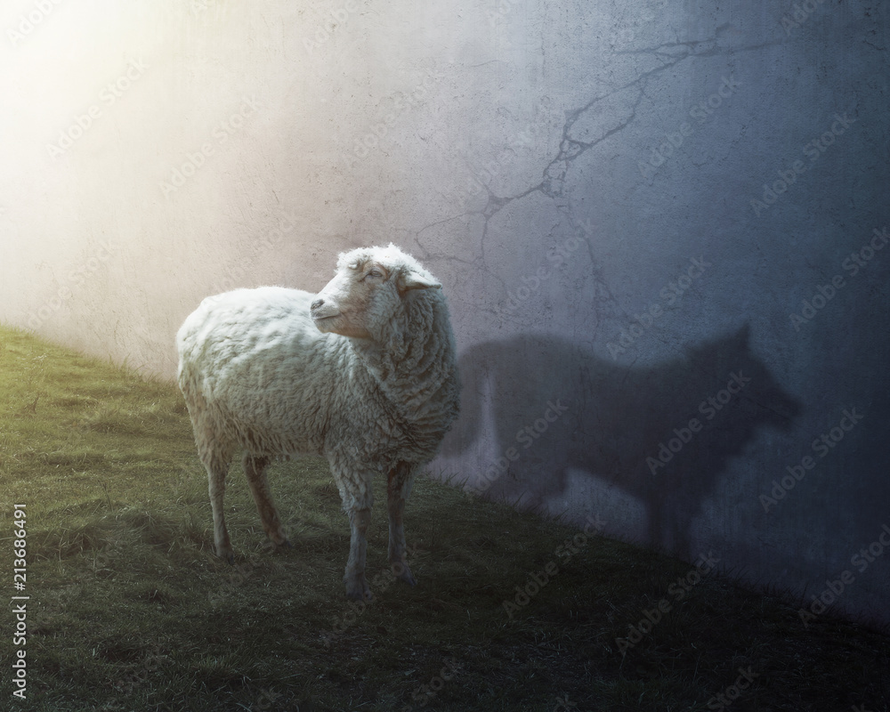 Obraz premium Owca i wilk