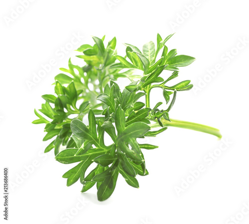 Fresh green parsley on white background