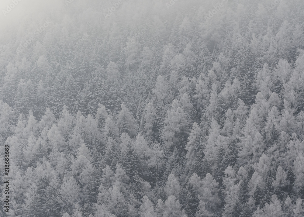 inverno inverno