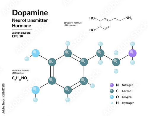 Dopamine Hormone. Neurotransmitter. Structural Chemical Molecular Formula and 3d Model. Atoms are Represented as Spheres with Color Coding. Vector Illustration