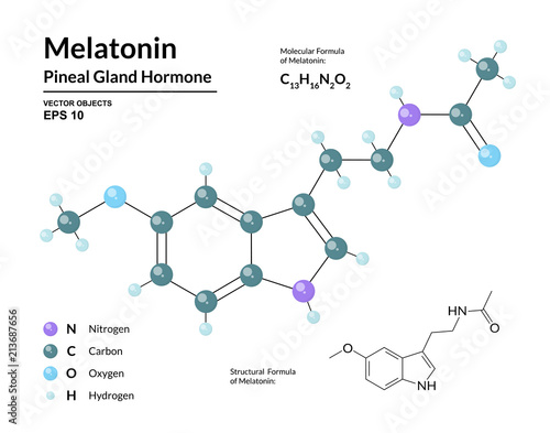 Melatonin. Pineal Gland Hormone. Regulator of Diurnal Rhythms. Structural Chemical Molecular Formula and 3d Model. Atoms are Represented as Spheres with Color Coding. Vector Illustration