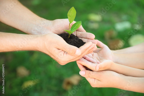 Man passing soil with green plant to his family on blurred background