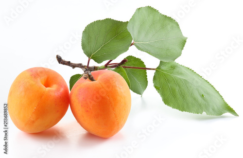 Ripe apricot on the branch and one apricot near isolated on white background.