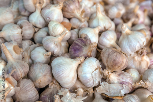 Pile of fresh ripe garlic bulbs as background, closeup
