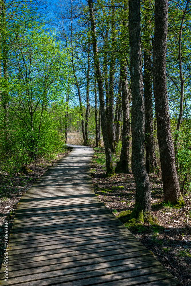 wooden footpath in the bog - vertical, mobile device ready image wooden footpath in the bog - vertical, mobile device ready image