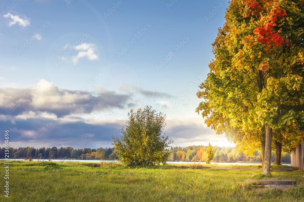 Amazing autumn landscape in colorful park in sunny evening. Colored trees and vanilla sky in october. Fall. Perfect day in fall park. Yellow leaves on tree in green meadow with warm sunlight