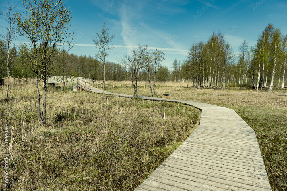 wooden footpath boardwalk in the bog swamp area