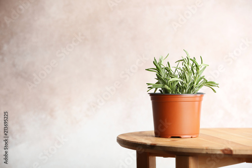 Pot with fresh rosemary on table against color background