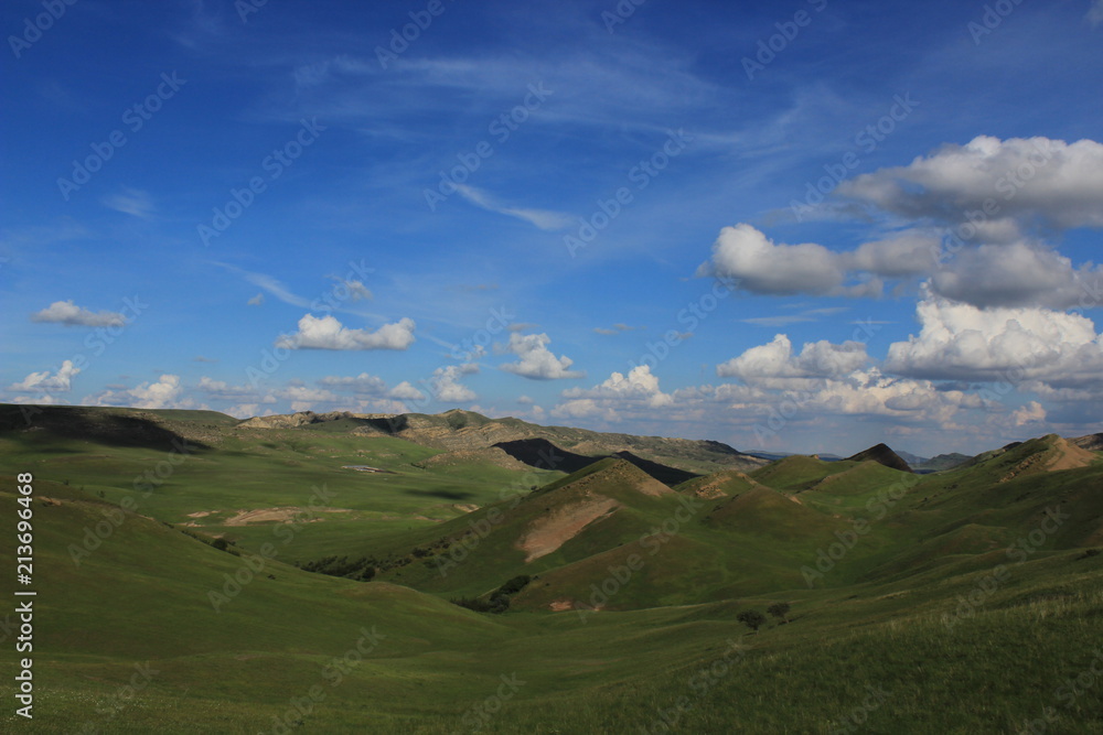 Green desert in georgia