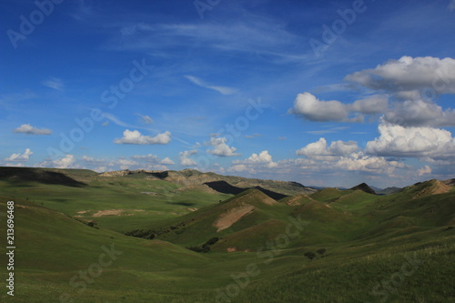 Green desert in georgia