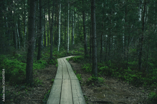 dark wooden footpath boardwalk in the bog swamp area