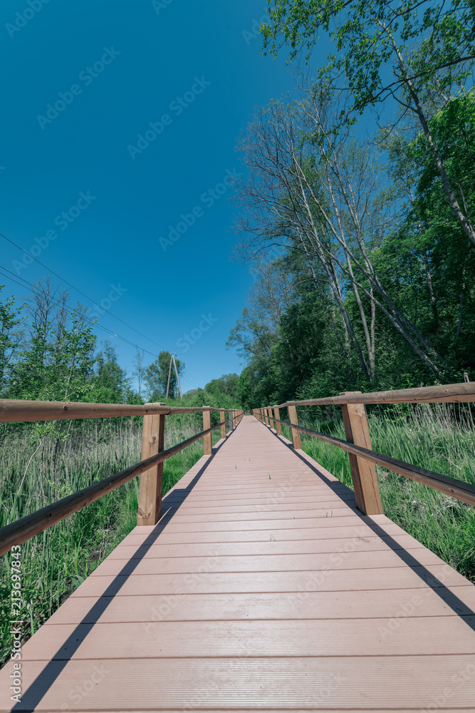 wooden footpath in the bog - vertical, mobile device ready image