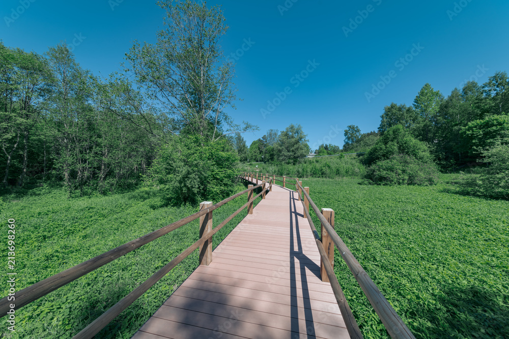 wooden footpath boardwalk in the bog swamp area