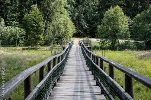 Fototapeta Naklejka Na Ścianę i Meble -  wooden footpath boardwalk in the bog swamp area