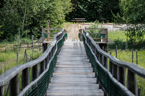 wooden footpath boardwalk in the bog swamp area