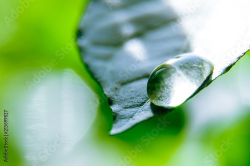 Rain drops flowing on the sheet