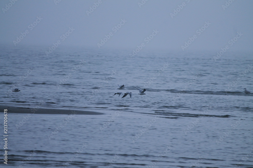 Fototapeta premium Holiday