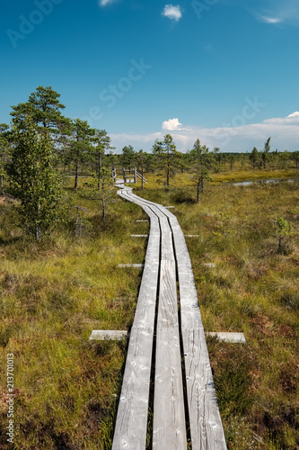 wooden footpath in the bog - vertical, mobile device ready image