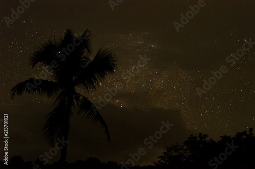 Night sky above palm trees at Nosy Be Island  Madagascar 
