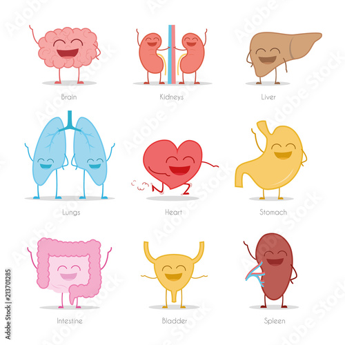 Set of 9 human organs in cartoon style: brain, kidneys, liver, lungs, heart, stomach, intestine, bladder and spleen.