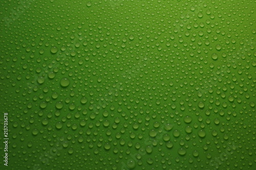 water drops on green background texture