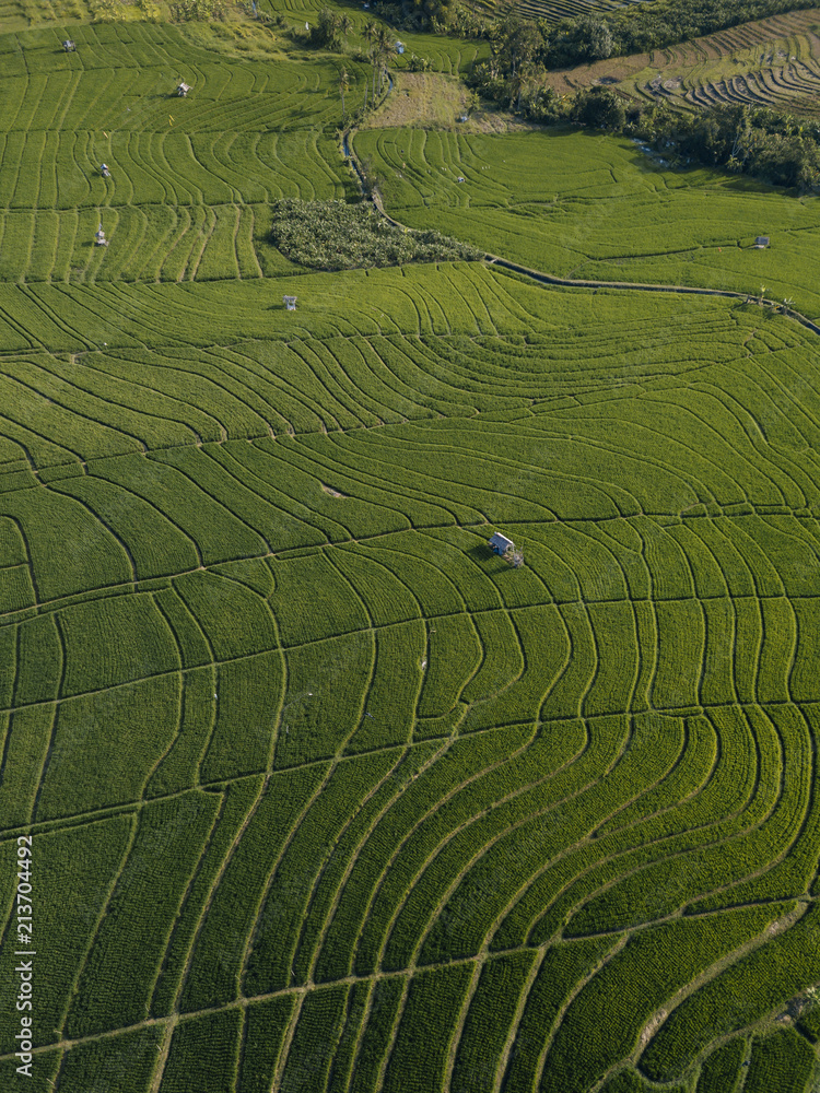 Aerial view of cultivated land Aerial view of cultivated land