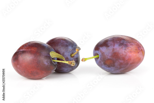 Group of three whole fresh violet-blue plum vibrant moyer variety isolated on white photo